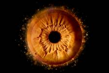 Xavier MARTINO - STUDIO MARTINO